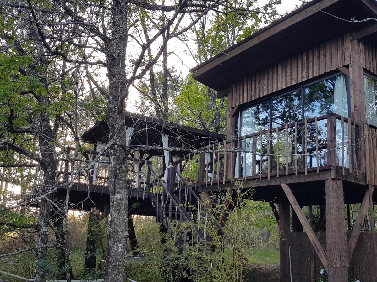 Les Landines Origne (Gironde) Exterior foto