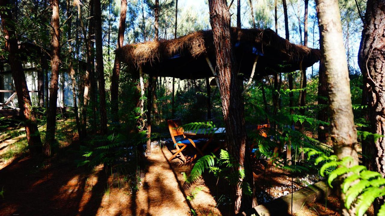 Les Landines Origne (Gironde) Exterior foto