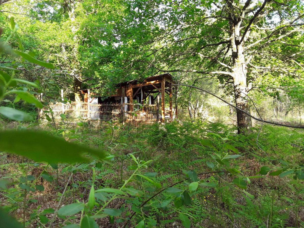 Les Landines Origne (Gironde) Exterior foto