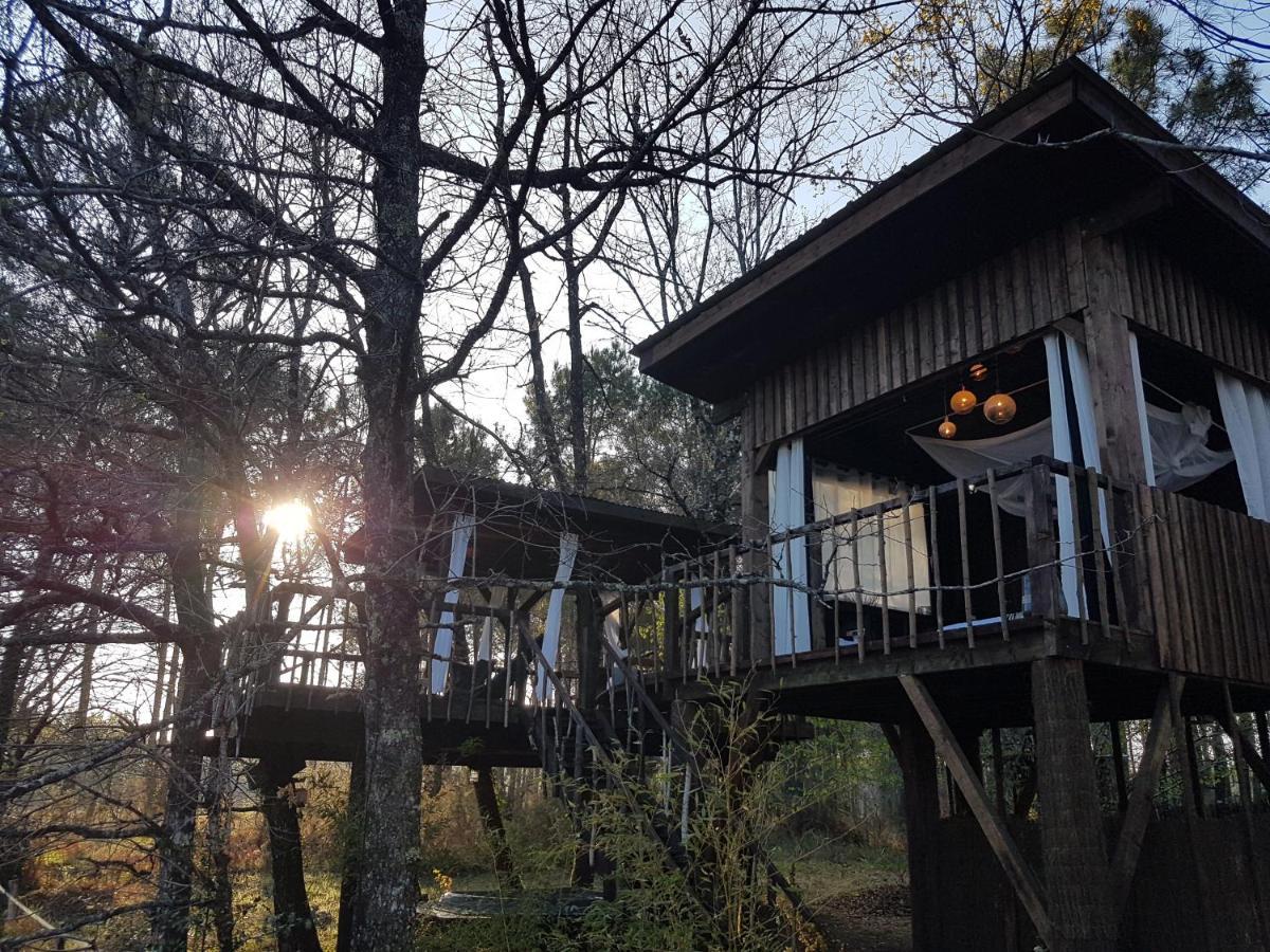 Les Landines Origne (Gironde) Exterior foto
