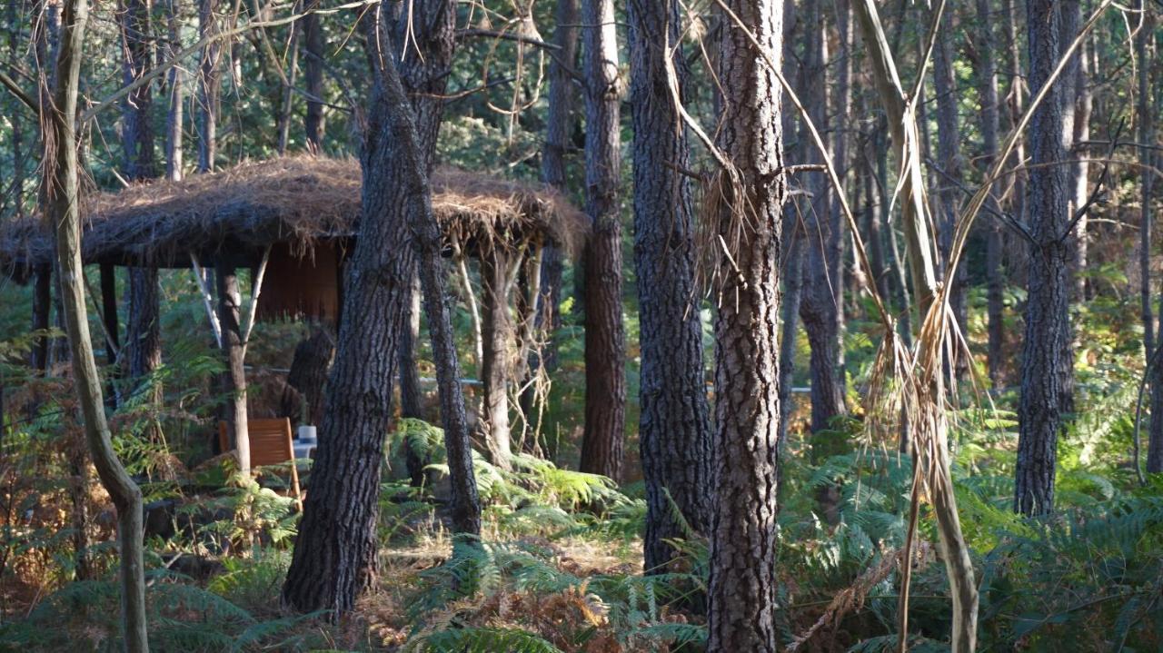 Les Landines Origne (Gironde) Exterior foto